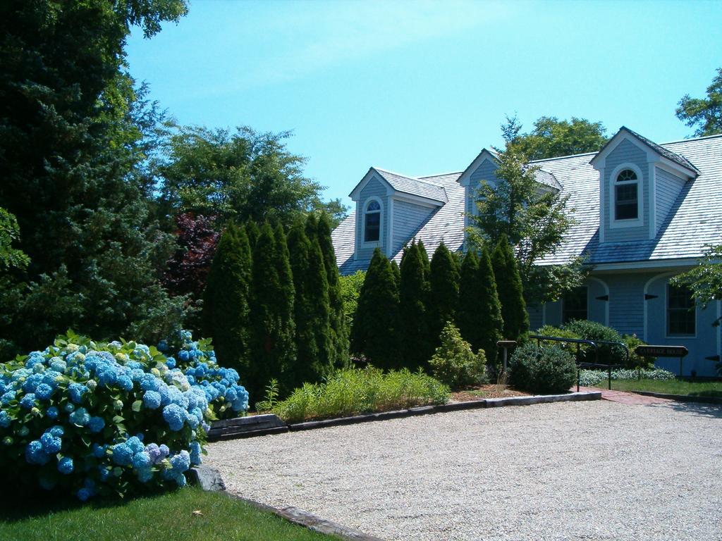 The Whalewalk Inn & Spa 伊斯特姆 外观 照片